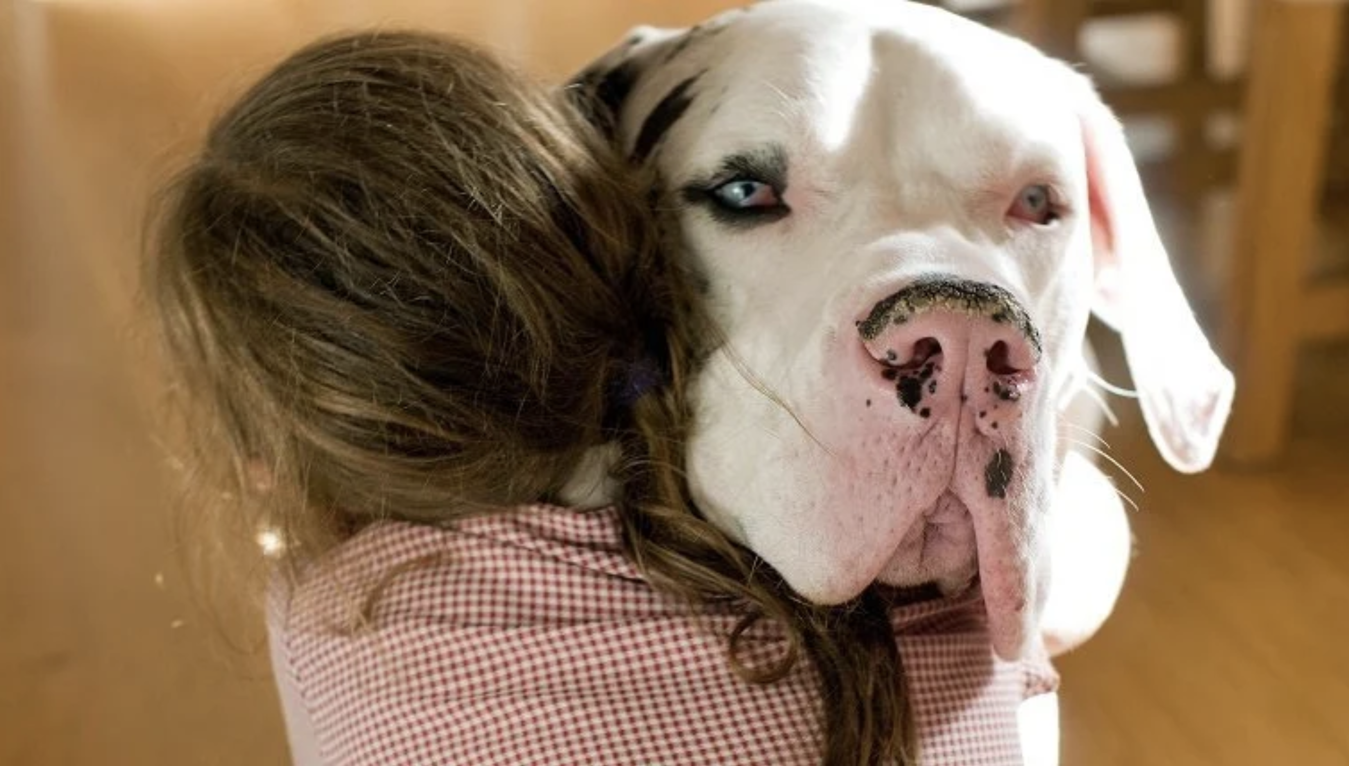 ¿Tener mascotas en casa es bueno para los niños?